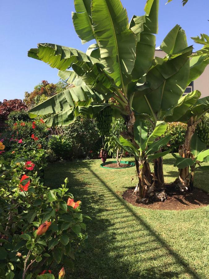 La Quinta Garden Villa Santa Úrsula Eksteriør bilde